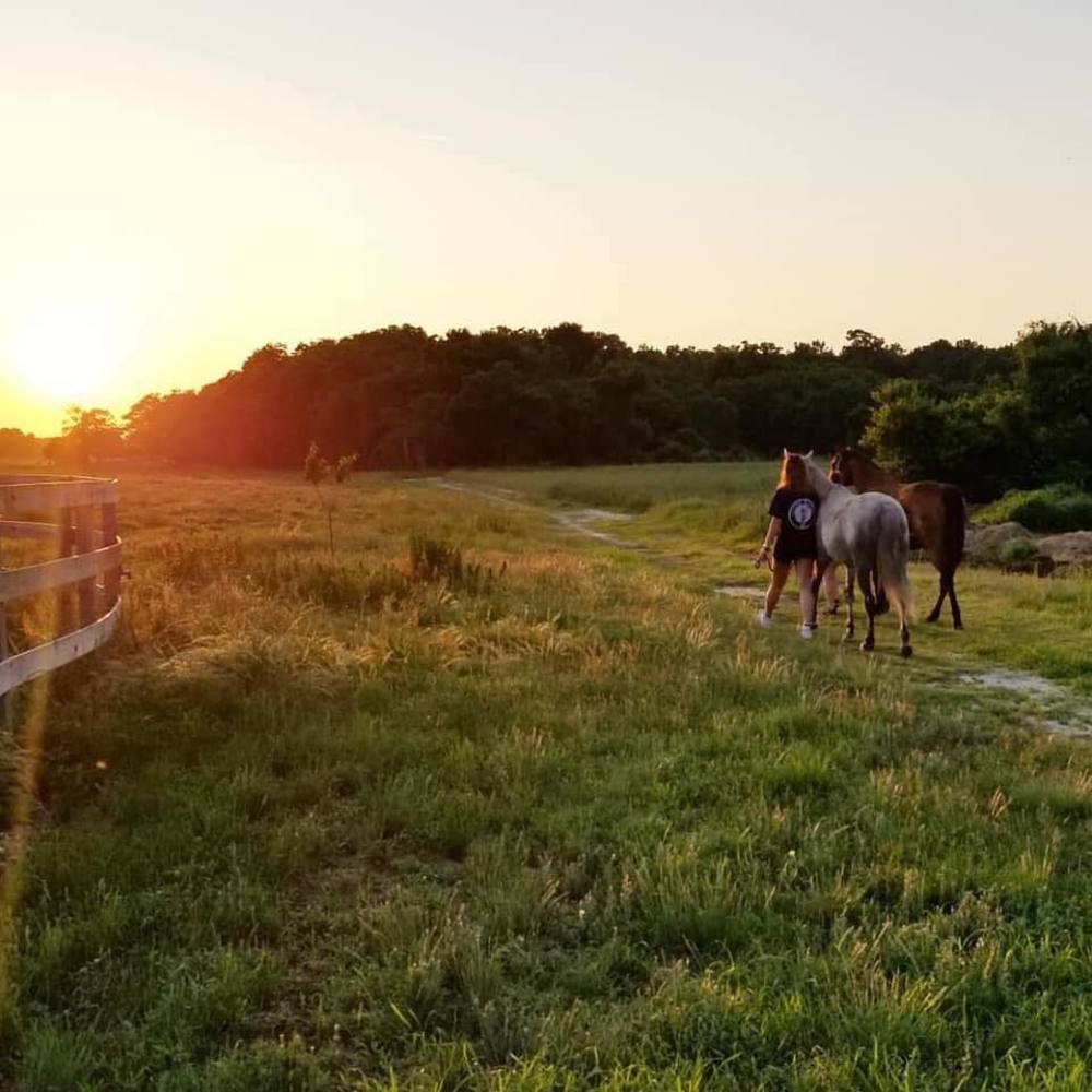 Meet your Posher, Melanie